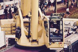 Grue Festivaliers Rock en Seine 2017