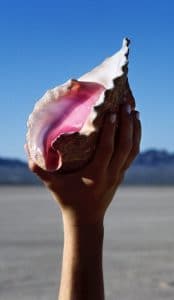 pochette album the killers 2017 wonderful wonderful