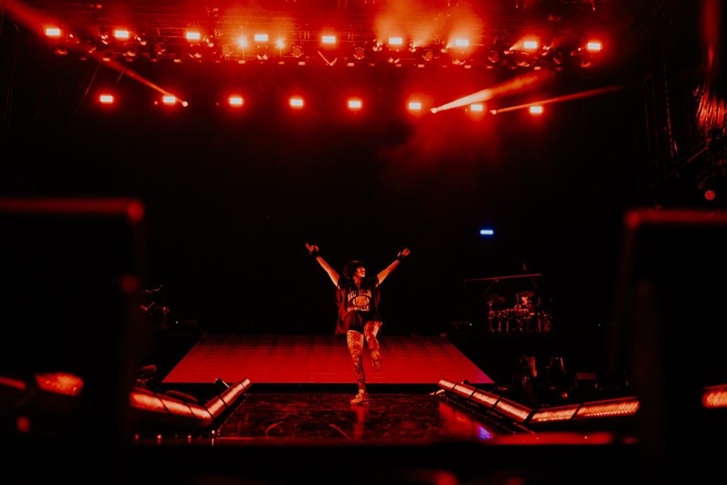 Billie Eilish @Rock en Seine - crédit : Louis Comar