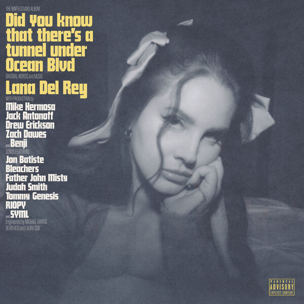 idée cadeau noel vinyle Lana Del Rey - Did you know there is a tunnel under Hollywood Bvd