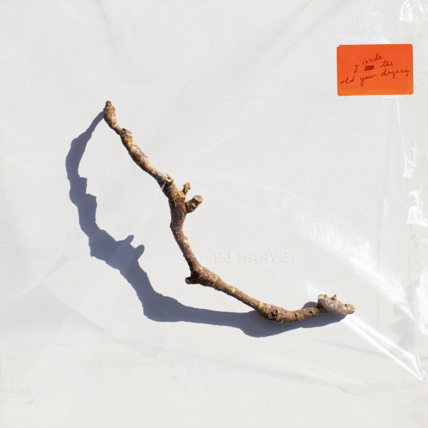 idée cadeau noel vinyle PJ Harvey - I Inside the Old Year Dying