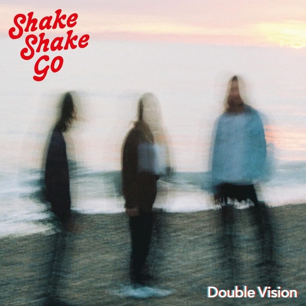 idée cadeau noel vinyle Shake Shake Go - Double Vision