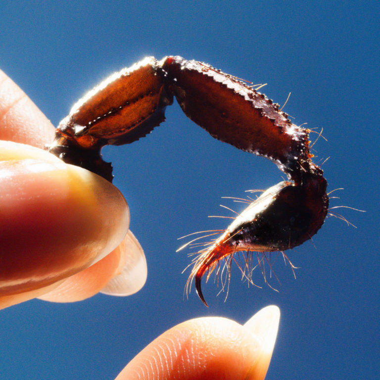 On écoute quoi cette semaine ? 5 albums à découvrir ! Squid - Cowards