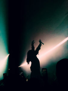 Lorde Zenith Paris Ultrasound tour par Louis Comar
