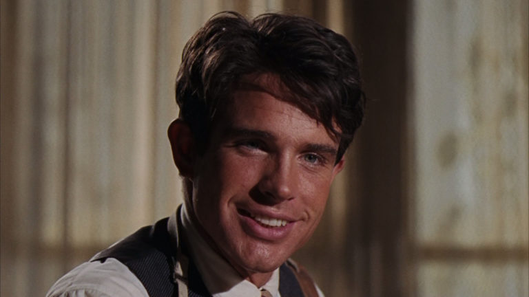 Warren Beatty : La Fabrique du Himbo