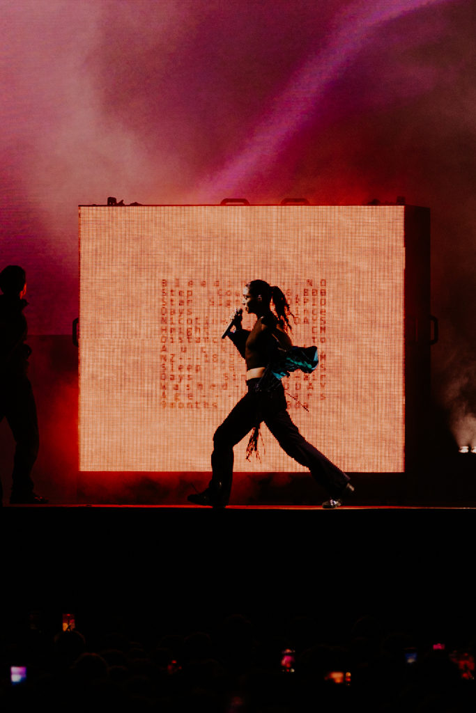 Lorde à Rock en Seine photo par Louis Comar